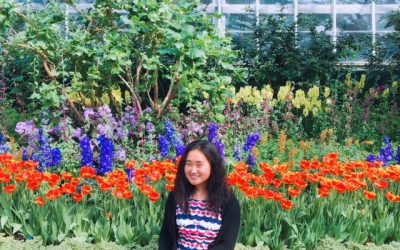 What Tofu Taught Me